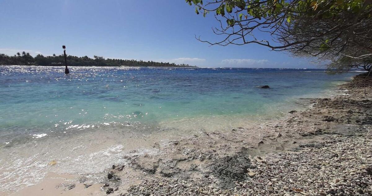 Moana Breeze Rangiroa - Rental Car Included - Air Conditioning - Wi-Fi Tiputa 客房 照片