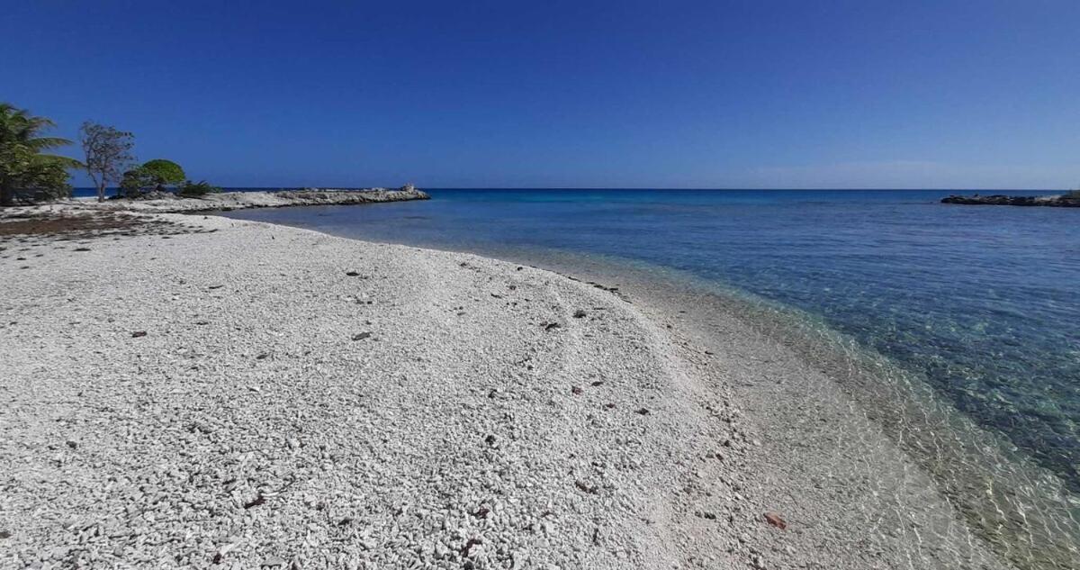 Moana Breeze Rangiroa - Rental Car Included - Air Conditioning - Wi-Fi Tiputa 客房 照片