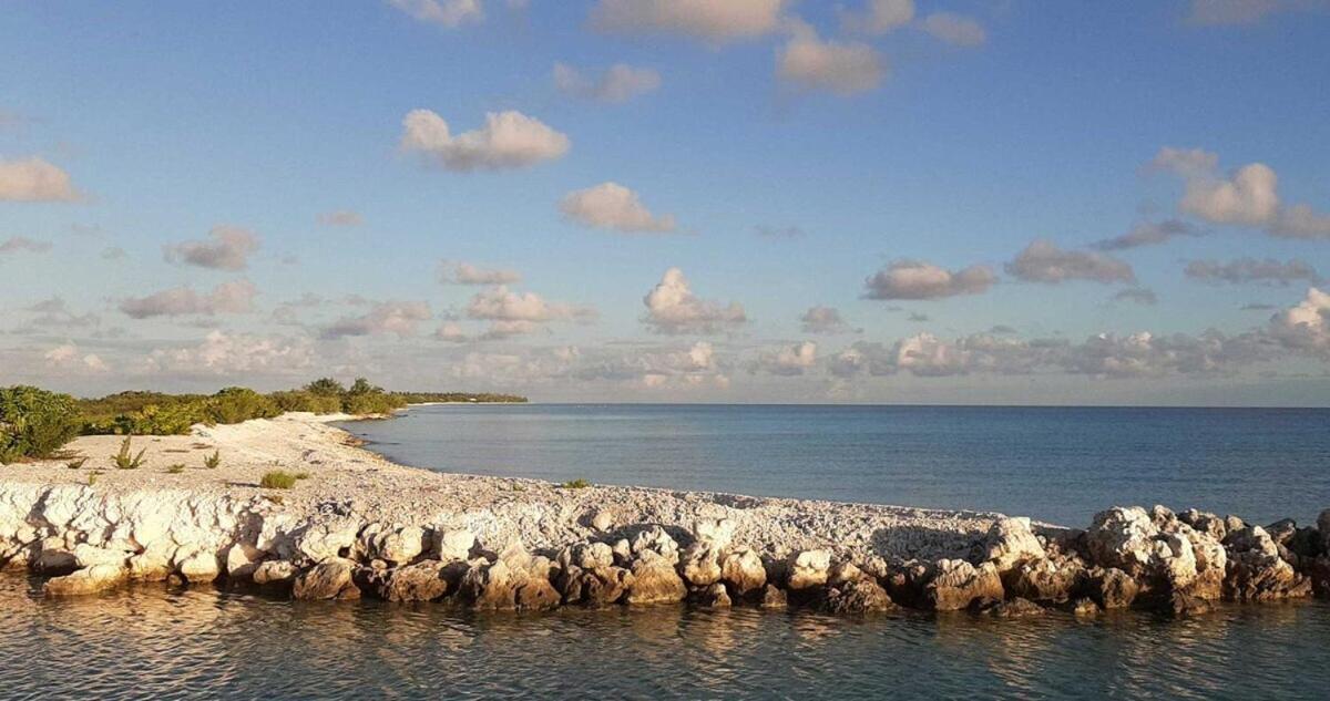 Moana Breeze Rangiroa - Rental Car Included - Air Conditioning - Wi-Fi Tiputa 客房 照片