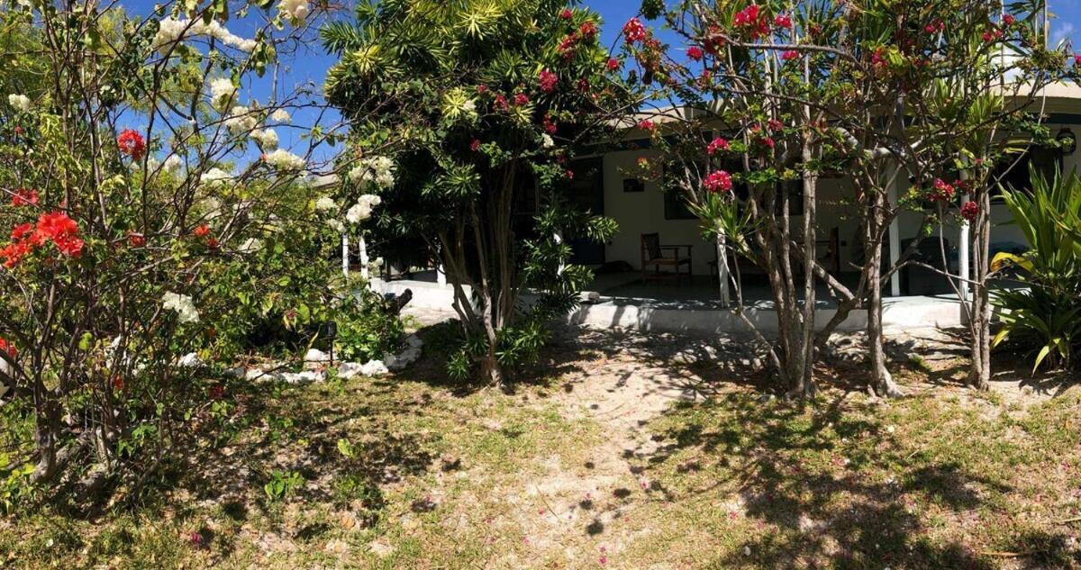 Moana Breeze Rangiroa - Rental Car Included - Air Conditioning - Wi-Fi Tiputa 客房 照片