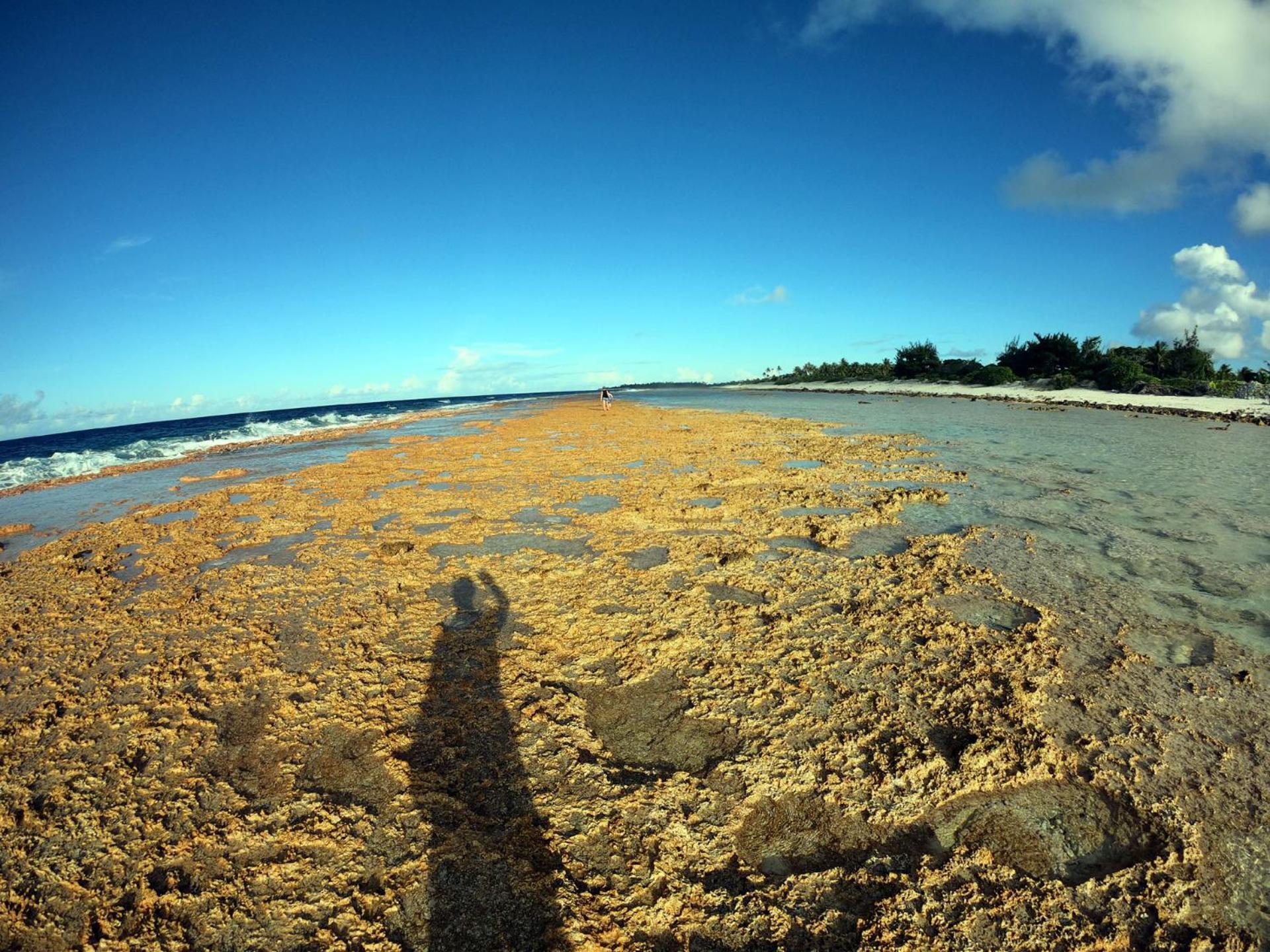 Moana Breeze Rangiroa - Rental Car Included - Air Conditioning - Wi-Fi Tiputa 外观 照片